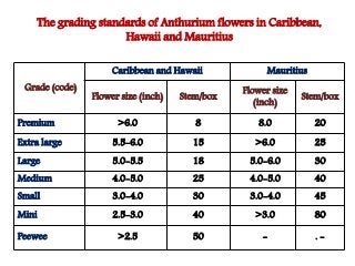 Cut flower and loose flower - Grading, packaging and storage techniques ...