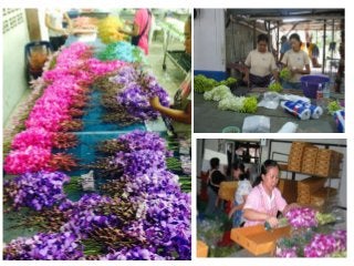 Cut flower and loose flower - Grading, packaging and storage techniques ...