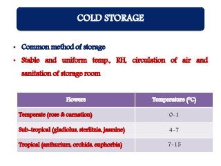 Cooling Process Roses Storage Cut flower and loose flower - Grading, packaging and storage techniques ...