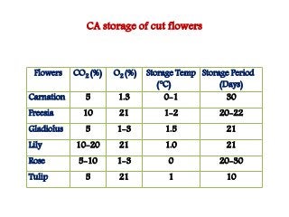 O2 Cutting Flower Pattern Cut flower and loose flower - Grading, packaging and storage techniques ...