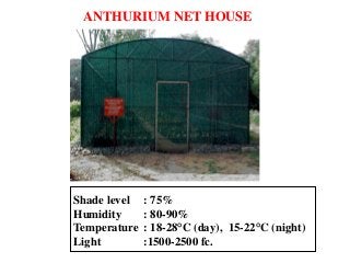 ANTHURIUM NET HOUSE
Shade level : 75%
Humidity : 80-90%
Temperature : 18-28°C (day), 15-22°C (night)
Light :1500-2500 fc.
 