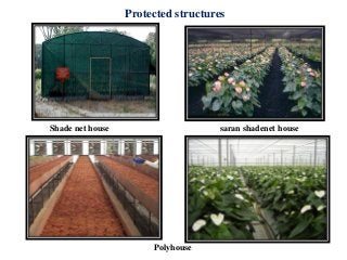 Protected structures
Shade net house saran shadenet house
Polyhouse
 