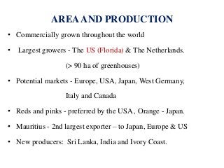 AREAAND PRODUCTION
• Commercially grown throughout the world
• Largest growers - The US (Florida) & The Netherlands.
(> 90 ha of greenhouses)
• Potential markets - Europe, USA, Japan, West Germany,
Italy and Canada
• Reds and pinks - preferred by the USA , Orange - Japan.
• Mauritius - 2nd largest exporter – to Japan, Europe & US
• New producers: Sri Lanka, India and Ivory Coast.
 