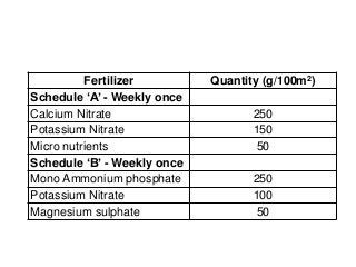Fertilizer Quantity (g/100m2)
Schedule ‘A’ - Weekly once
Calcium Nitrate 250
Potassium Nitrate 150
Micro nutrients 50
Schedule ‘B’ - Weekly once
Mono Ammonium phosphate 250
Potassium Nitrate 100
Magnesium sulphate 50
 