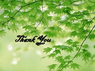 ThankYou
 
