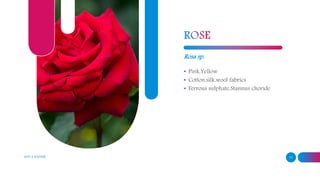 ADD A FOOTER 11
Rosa sp.
• Pink,Yellow
• Cotton,silk,wool fabrics
• Ferrous sulphate,Stannus choride
 