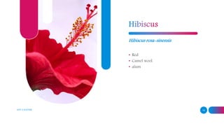 ADD A FOOTER 14
Hibiscus rosa-sinensis
• Red
• Camel wool
• alum
 