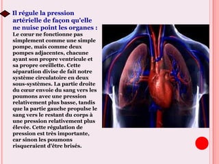 Il régule la pression
artérielle de façon qu'elle
ne nuise point les organes :
Le cœur ne fonctionne pas
simplement comme une simple
pompe, mais comme deux
pompes adjacentes, chacune
ayant son propre ventricule et
sa propre oreillette. Cette
séparation divise de fait notre
système circulatoire en deux
sous-systèmes. La partie droite
du cœur envoie du sang vers les
poumons avec une pression
relativement plus basse, tandis
que la partie gauche propulse le
sang vers le restant du corps à
une pression relativement plus
élevée. Cette régulation de
pression est très importante,
car sinon les poumons
risqueraient d'être brisés.
 
