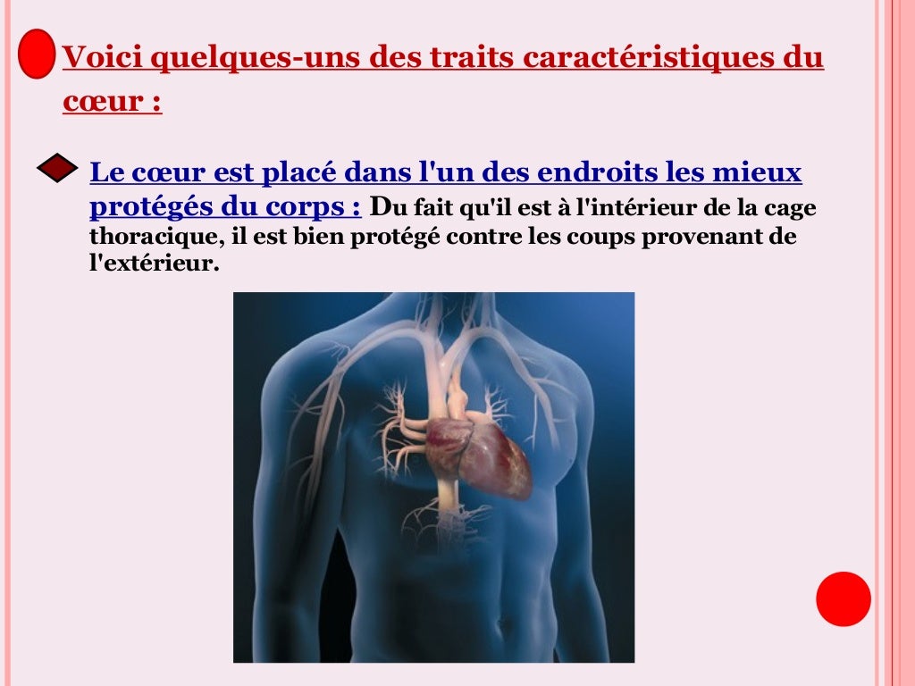 Le coeur