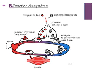 + B.Fonction du système
 