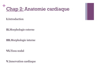 +
Chap 2: Anatomie cardiaque
I.Introduction
II.Morphologie externe
III.Morphologie interne
VI.Tissu nodal
V.Innervation cardiaque
 