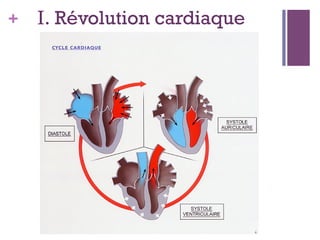 + I. Révolution cardiaque
 