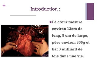 +
Introduction :
 Le cœur mesure
environ 13cm de
long, 8 cm de large,
pèse environ 500g et
bat 3 milliard de
fois dans une vie.
 