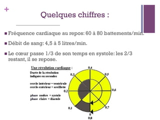 +
Quelques chiffres :
 Fréquence cardiaque au repos: 60 à 80 battements/min.
 Débit de sang: 4,5 à 5 litres/min.
 Le cœur passe 1/3 de son temps en systole: les 2/3
restant, il se repose.
 