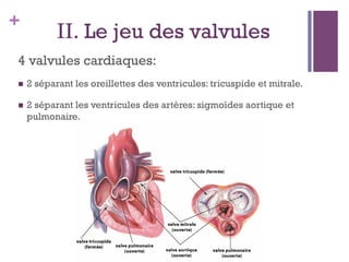 +
II. Le jeu des valvules
4 valvules cardiaques:
  2 séparant les oreillettes des ventricules: tricuspide et mitrale.
  2 séparant les ventricules des artères: sigmoïdes aortique et
pulmonaire.
 