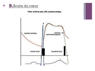 + B.Bruits du cœur
 