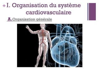 +I. Organisation du système
cardiovasculaire
A.Organisation générale
 