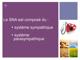 +
Le SNA est composé du :
• système sympathique
• système
parasympathique
 