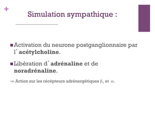 +
Simulation sympathique :
 Activation du neurone postganglionnaire par
l’acétylcholine.
 Libération d’adrénaline et de
noradrénaline.
⇒ Action sur les récépteurs adrénergétiques β1 et α.
 
