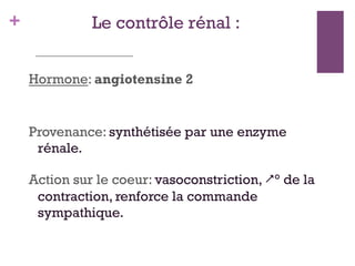 + Le contrôle rénal :
Hormone: angiotensine 2
Provenance: synthétisée par une enzyme
rénale.
Action sur le coeur: vasoconstriction, ° de la
contraction, renforce la commande
sympathique.
 