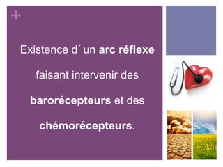 +
Existence d’un arc réflexe
faisant intervenir des
barorécepteurs et des
chémorécepteurs.
 