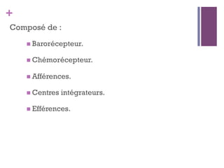 +
Composé de :
 Barorécepteur.
 Chémorécepteur.
 Afférences.
 Centres intégrateurs.
 Efférences.
 