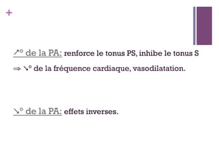 +
° de la PA: renforce le tonus PS, inhibe le tonus S
⇒ ° de la fréquence cardiaque, vasodilatation.
° de la PA: effets inverses.
 