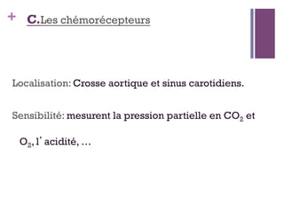 + C.Les chémorécepteurs
Localisation: Crosse aortique et sinus carotidiens.
Sensibilité: mesurent la pression partielle en CO2 et
O2, l’acidité, …
 