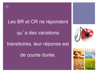 +
Les BR et CR ne répondent
qu’a des variations
transitoires, leur réponse est
de courte durée.
 