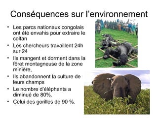 Conséquences sur l’environnement
• Les parcs nationaux congolais
ont été envahis pour extraire le
coltan
• Les chercheurs travaillent 24h
sur 24
• Ils mangent et dorment dans la
fôret montagneuse de la zone
minière,
• Ils abandonnent la culture de
leurs champs
• Le nombre d’éléphants a
diminué de 80%.
• Celui des gorilles de 90 %.
 