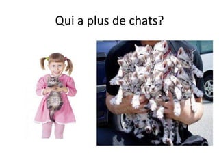 Qui a plus de chats?
