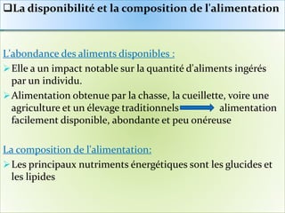 L'abondance des aliments disponibles :
Elle a un impact notable sur la quantité d'aliments ingérés
par un individu.
Alimentation obtenue par la chasse, la cueillette, voire une
agriculture et un élevage traditionnels alimentation
facilement disponible, abondante et peu onéreuse
La composition de l'alimentation:
Les principaux nutriments énergétiques sont les glucides et
les lipides
La disponibilité et la composition de l'alimentation
 