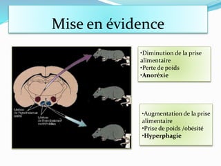 Mise en évidence
•Diminution de la prise
alimentaire
•Perte de poids
•Anoréxie
•Augmentation de la prise
alimentaire
•Prise de poids /obésité
•Hyperphagie
 