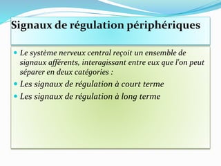 Signaux de régulation périphériques
 Le système nerveux central reçoit un ensemble de
signaux afférents, interagissant entre eux que l'on peut
séparer en deux catégories :
 Les signaux de régulation à court terme
 Les signaux de régulation à long terme
 