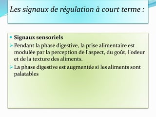Les signaux de régulation à court terme :
 Signaux sensoriels
Pendant la phase digestive, la prise alimentaire est
modulée par la perception de l'aspect, du goût, l'odeur
et de la texture des aliments.
La phase digestive est augmentée si les aliments sont
palatables
 