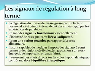 Les signaux de régulation à long
terme
 La régulation du niveau de masse grasse par un facteur
hormonal a été démontrée au début des années 1950 par les
expériences de parabiose.
 Ce sont des signaux hormonaux essentiellement.
 L'intensité de ces signaux est liée à l'adiposité.
 Ils ont une action retardée par rapport à la prise
alimentaire.
 Ils sont capables de moduler l'impact des signaux à court
terme sur les régions cérébrales.(en gros, si on a un stock
énergétique important, on a pas faim).
 Ils exercent des effets directs sur les voies hypothalamiques,
contrôlant alors l'équilibre énergétique.
 
