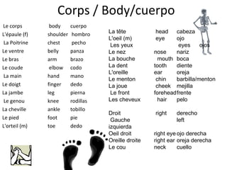 Corps / Body/cuerpo Le corps   body cuerpo L'épaule (f)  shoulder  hombro La Poitrine  chest   pecho Le ventre  belly panza Le bras arm  brazo Le coude   elbow codo La main    hand mano Le doigt    finger dedo La jambe   leg pierna Le genou  knee rodillas La cheville  ankle tobillo Le pied  foot pie L'orteil (m)  toe dedo La tête  head cabeza L'oeil (m)   eye ojo Les yeux   eyes ojos Le nez    nose nariz La bouche   mouth boca La dent    tooth diente L'oreille  ear oreja Le menton   chin barbilla/menton La joue   cheek mejilla Le front  forehead frente Les cheveux   hair pelo Droit   right derecho Gauche  left izquierda Oeil droit  right eye ojo derecha Oreille droite  right ear oreja derecha Le cou    neck cuello 