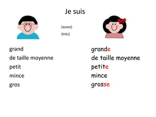 Je suis grand de taille moyenne petit mince gros grand e de taille moyenne petit e mince gros se (assez) (très) 