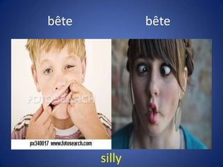 bête           bête




       silly
 