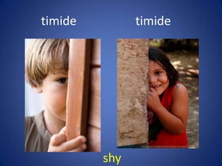 timide         timide




         shy
 