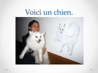 Voici un chien.
 