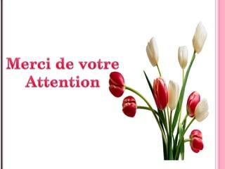 Le concept du géomarketing