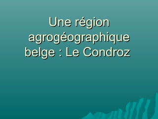 Une régionUne région
agrogéographiqueagrogéographique
belge : Le Condrozbelge : Le Condroz
 