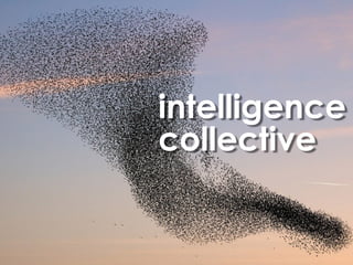 intelligence
collective
 