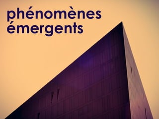 phénomènes
émergents
 