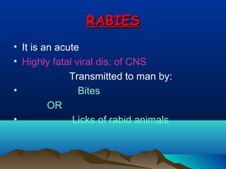 RABIESRABIES
• It is an acute
• Highly fatal viral dis: of CNS
Transmitted to man by:
• Bites
OR
• Licks of rabid animals
 