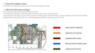 • Fourth the intellect ( brain)
One full area is devoted to educational institute of higher learning.
• Fifth the Limb( hands and legs )
The industrial area are the representation of Limb.
The industries located in south-east side of the city close to the railway station .
It is located on the factors such as the proximity on the access road for the entry of raw materials and exit of the finished
goods without disturbing the town and keeping the pollution zone away from the city.
HEAD (CAPITOL COMPLEX)
HEART(THE CITY CENTRE)
LIMB(INDUSTRAIL AREA)
INTELLECT(INSTITUTIONAL AREA)
LUNGS(LEISURE VALLEY)
 