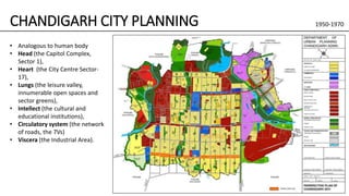 • Analogous to human body
• Head (the Capitol Complex,
Sector 1),
• Heart (the City Centre Sector-
17),
• Lungs (the leisure valley,
innumerable open spaces and
sector greens),
• Intellect (the cultural and
educational institutions),
• Circulatory system (the network
of roads, the 7Vs)
• Viscera (the Industrial Area).
CHANDIGARH CITY PLANNING 1950-1970
 