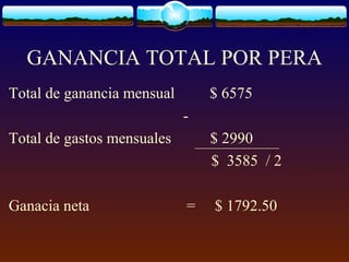 GANANCIA TOTAL POR PERA
Total de ganancia mensual $ 6575
-
Total de gastos mensuales $ 2990
$ 3585 / 2
Ganacia neta = $ 1792.50
 