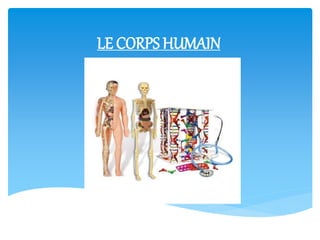 LE CORPS HUMAIN
 